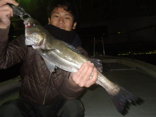 FISH8382s