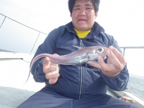 FISH9046